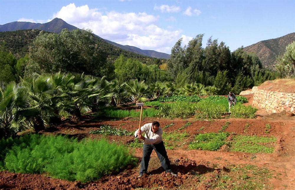 Domaine Malika Moulay Brahim Exterior photo